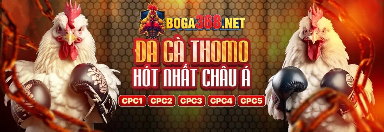 Các tính năng nổi bật của 188BET